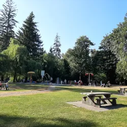 Maple Ridge Park - Maple Ridge