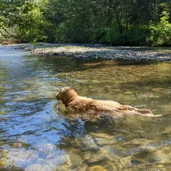 Maple Ridge Park - Maple Ridge