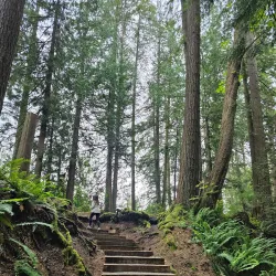 Maple Ridge Park - Maple Ridge