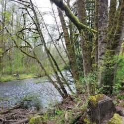 Maple Ridge Park - Maple Ridge