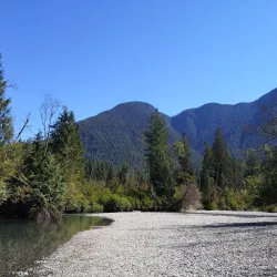 Whonnock Lake Park - Maple Ridge