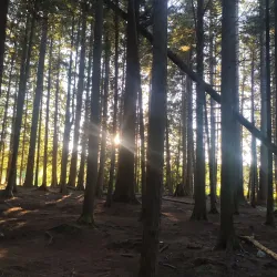 Whonnock Lake Park - Maple Ridge