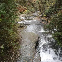 Whonnock Lake Park - Maple Ridge