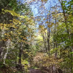 Manitouwadge Lookout - Marathon