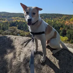 Manitouwadge Lookout - Marathon