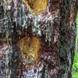 Manitouwadge Lookout - Marathon