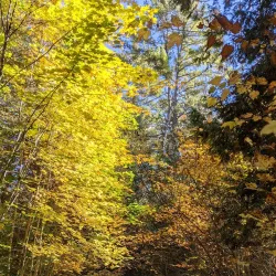 Manitouwadge Lookout - Marathon