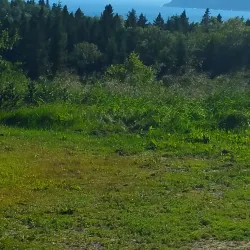 Marathon Golf Club - Marathon