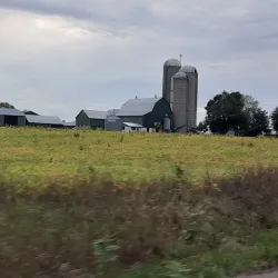 Crowe River - Marmora