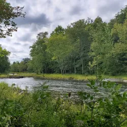 Moira River - Marmora