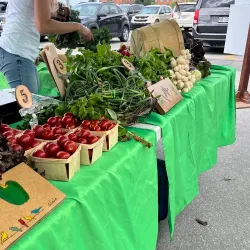 Marché Public de Mascouche - Mascouche