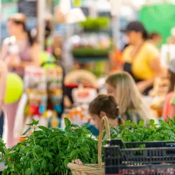 Marché Public de Mascouche - Mascouche