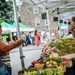 Marché Public de Mascouche - Mascouche