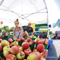 Marché Public de Mascouche - Mascouche