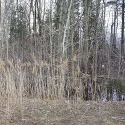 Parc de la Gare - Mascouche