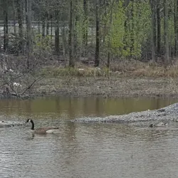 Parc de la Gare - Mascouche