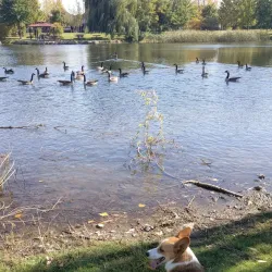 Parc de la Seigneurie - Mascouche