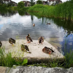 Parc de la Seigneurie - Mascouche