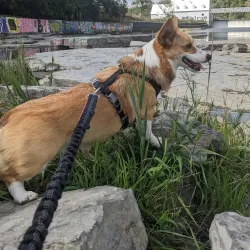 Parc des Prairies - Mascouche