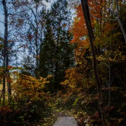 Parc des Prairies - Mascouche