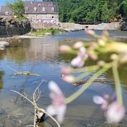 Parc des Prairies - Mascouche
