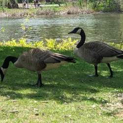Parc du Grand-Coteau - Mascouche