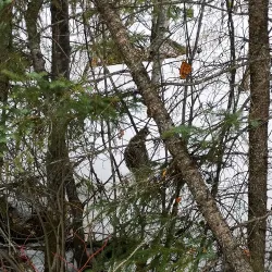 Meadow Lake Provincial Park - Meadow Lake