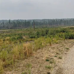 Meadow Lake Provincial Park - Meadow Lake
