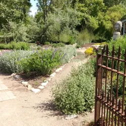 Coutts Centre for Western Canadian Heritage - Medicine Hat