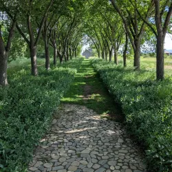Coutts Centre for Western Canadian Heritage - Medicine Hat
