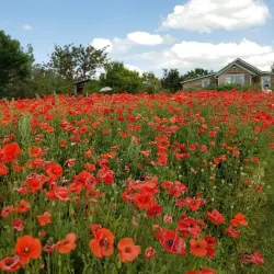 Coutts Centre for Western Canadian Heritage - Medicine Hat