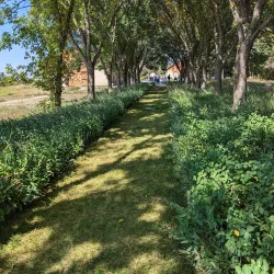 Coutts Centre for Western Canadian Heritage - Medicine Hat