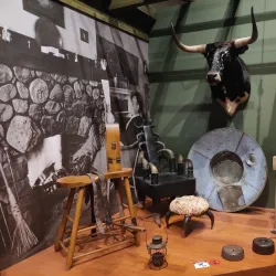 Esplanade Arts & Heritage Centre - Medicine Hat