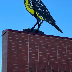 Medicine Hat Family Leisure Centre - Medicine Hat