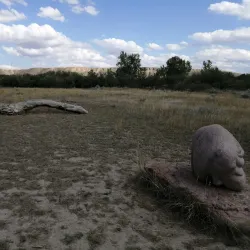Police Point Park - Medicine Hat
