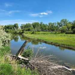 Strathcona Island Park - Medicine Hat