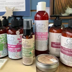 Northern Lights Gallery - Melfort