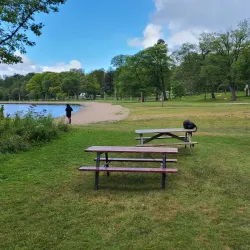 Little Lake Park - Midland