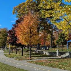 Little Lake Park - Midland