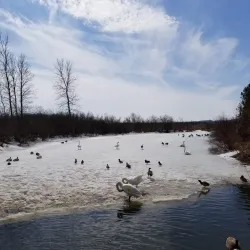 Wye Heritage Trail - Midland