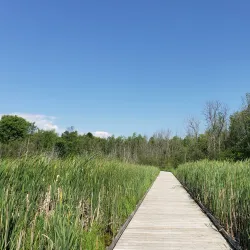 Wye Heritage Trail - Midland