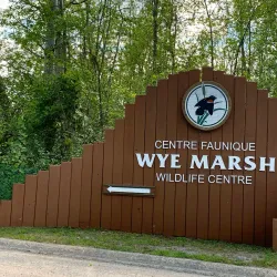 Wye Heritage Trail - Midland