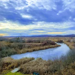 Wye Marsh Wildlife Centre - Midland