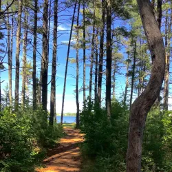 Beaubears Island Shipbuilding National Historic Site - Miramichi