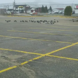 Douglastown Mall - Miramichi