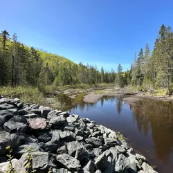 French Fort Cove Nature Park - Miramichi