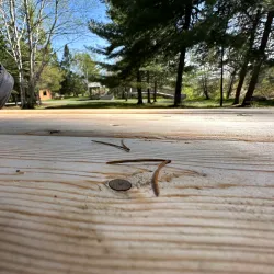 French Fort Cove Nature Park - Miramichi