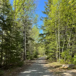 French Fort Cove Nature Park - Miramichi