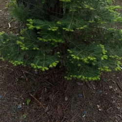 French Fort Cove Nature Park - Miramichi