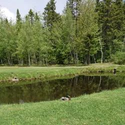 Miramichi Golf and Country Club - Miramichi